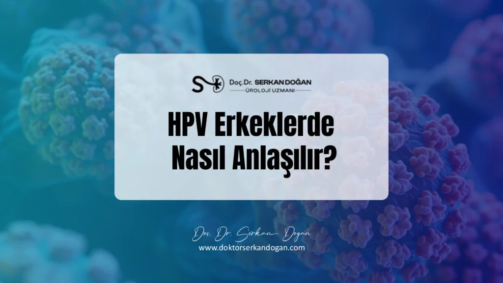 hpv-erkeklerde-nasil-anlasilir-1441X812.webp