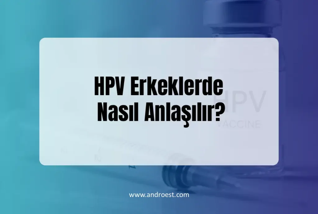 hpv-erkeklerde-nasil-anlasilir