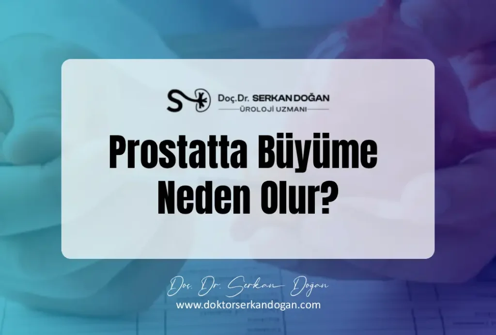 prostatta-buyume-neden-olur-1043x704-1.webp