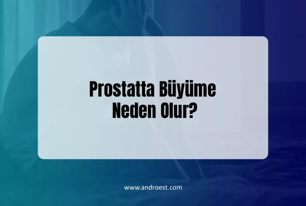 prostatta-buyume-neden-olur