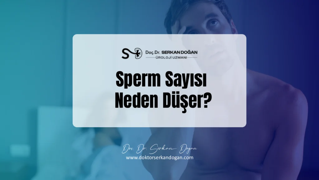 sperm-sayisi-neden-duser-1441X812.webp