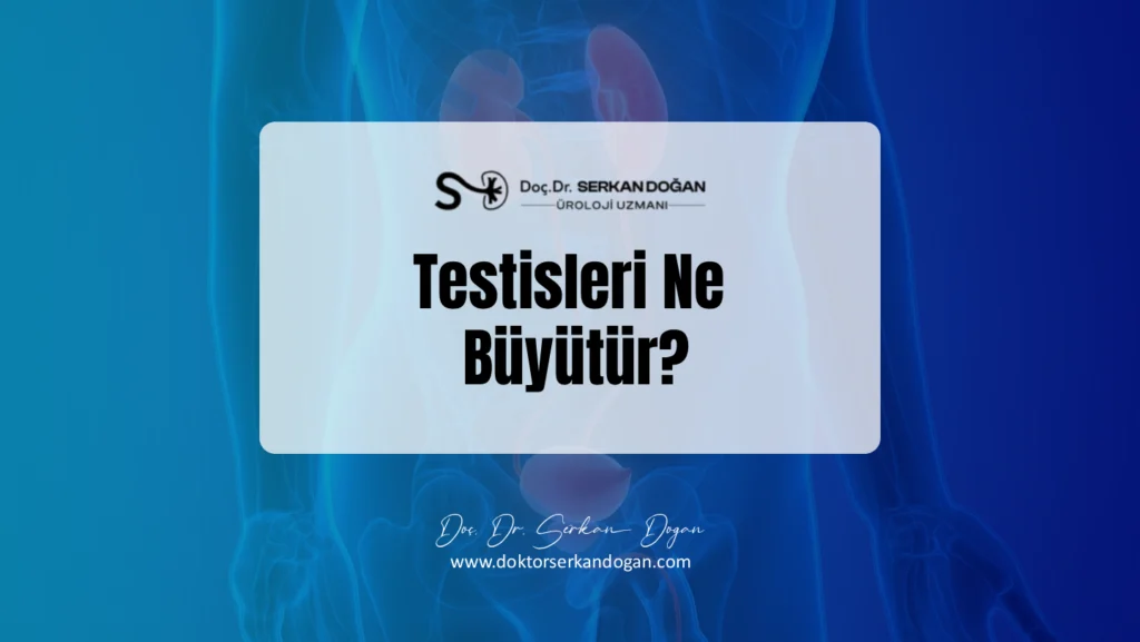 testisleri-ne-buyutur-1441X812.webp