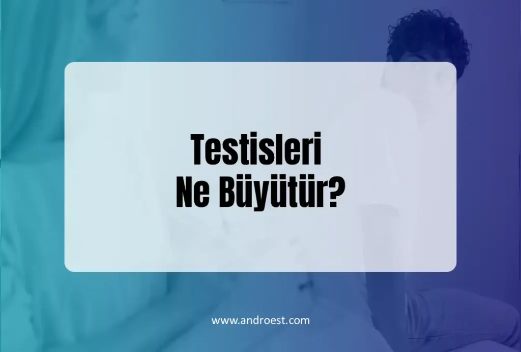 testisleri-ne-buyutur