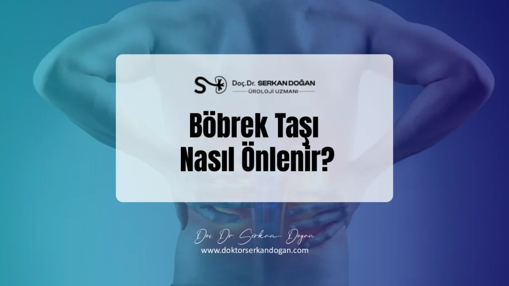 bobrek-tasi-nasil-onlenir-1441x812-1.webp