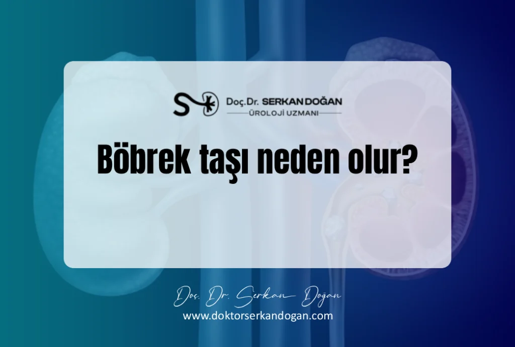 böbrek taşı neden olur