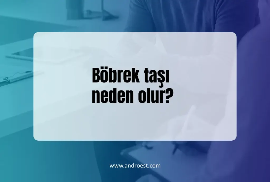bobrek-tasi-neden-olur