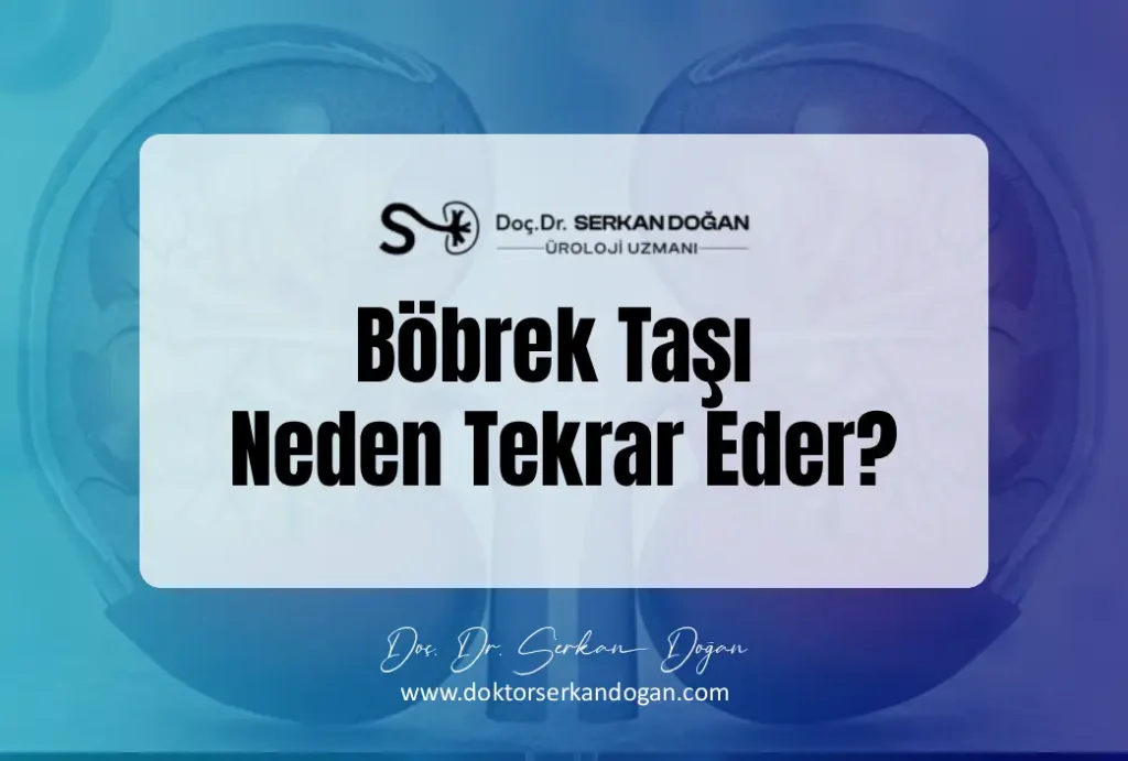 bobrek-tasi-neden-tekrar-eder-1043x704-1.webp