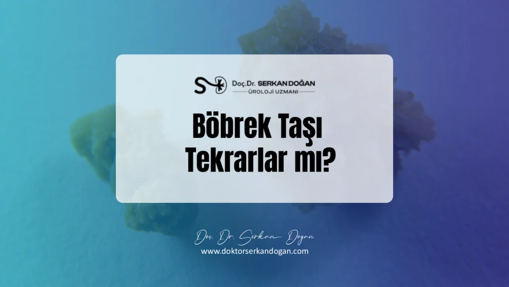 bobrek-tasi-tekrarlar-mi-1441x812-1.webp
