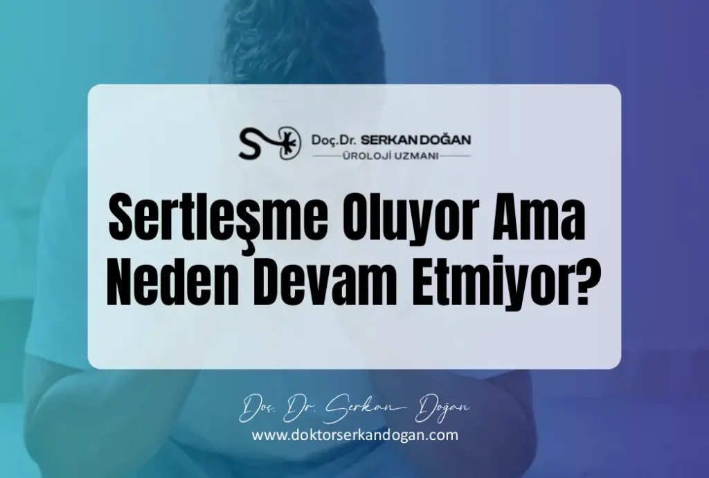 sertlesme-oluyor-ama-neden-devam-etmiyor-1043X704.webp