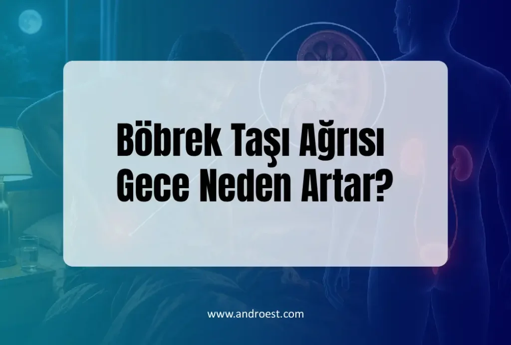 Böbrek Taşı Ağrısı Gece Neden Artar?