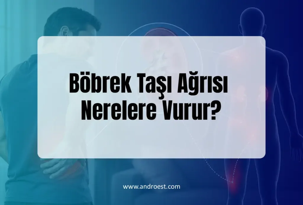 Böbrek Taşı Ağrısı Nerelere Vurur?