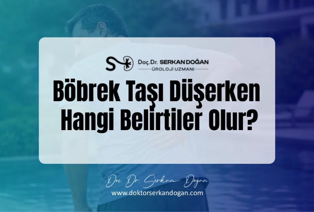 Böbrek Taşı Düşürme Belirtileri Nelerdir? Süreç ve Ağrı