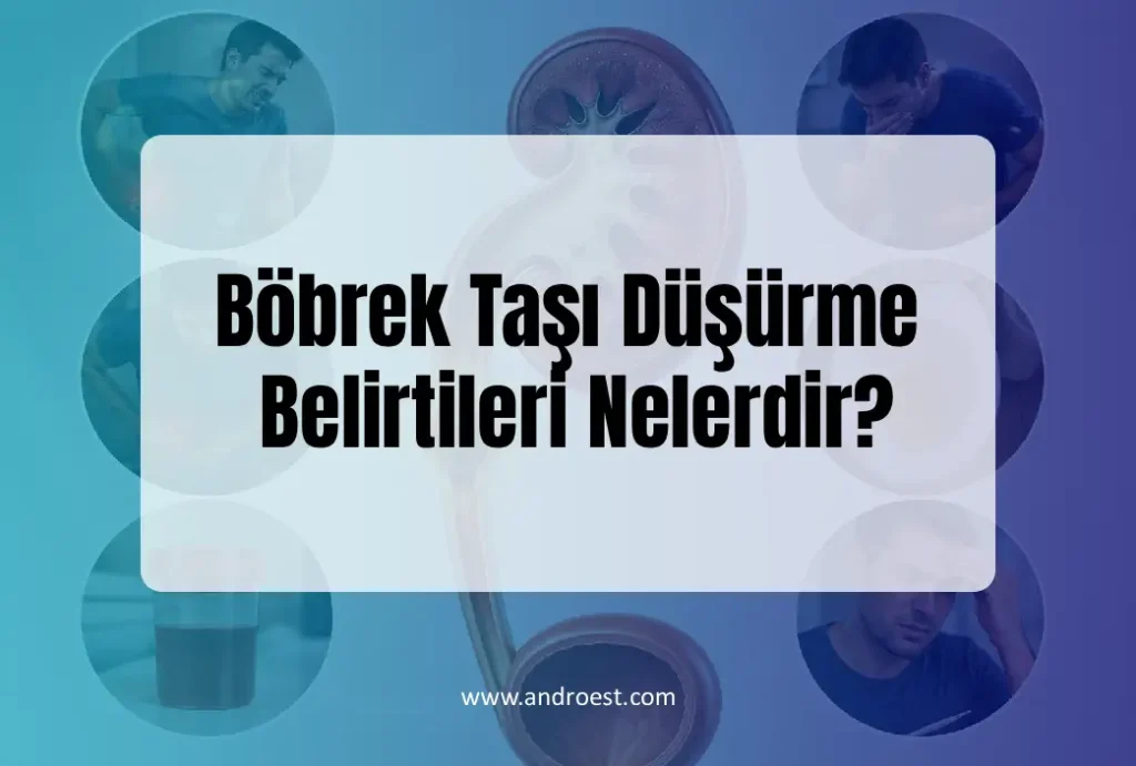 Böbrek Taşı Düşürme Belirtileri Nelerdir?