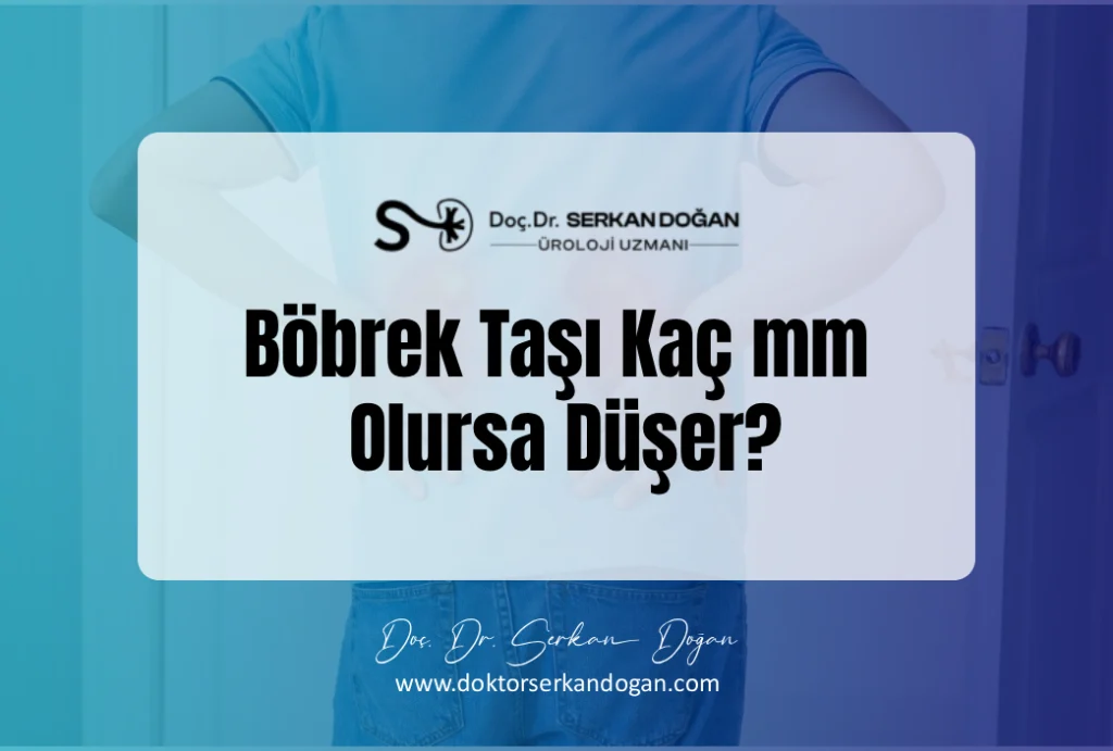 bobrek tasi kac mm olursa duser?