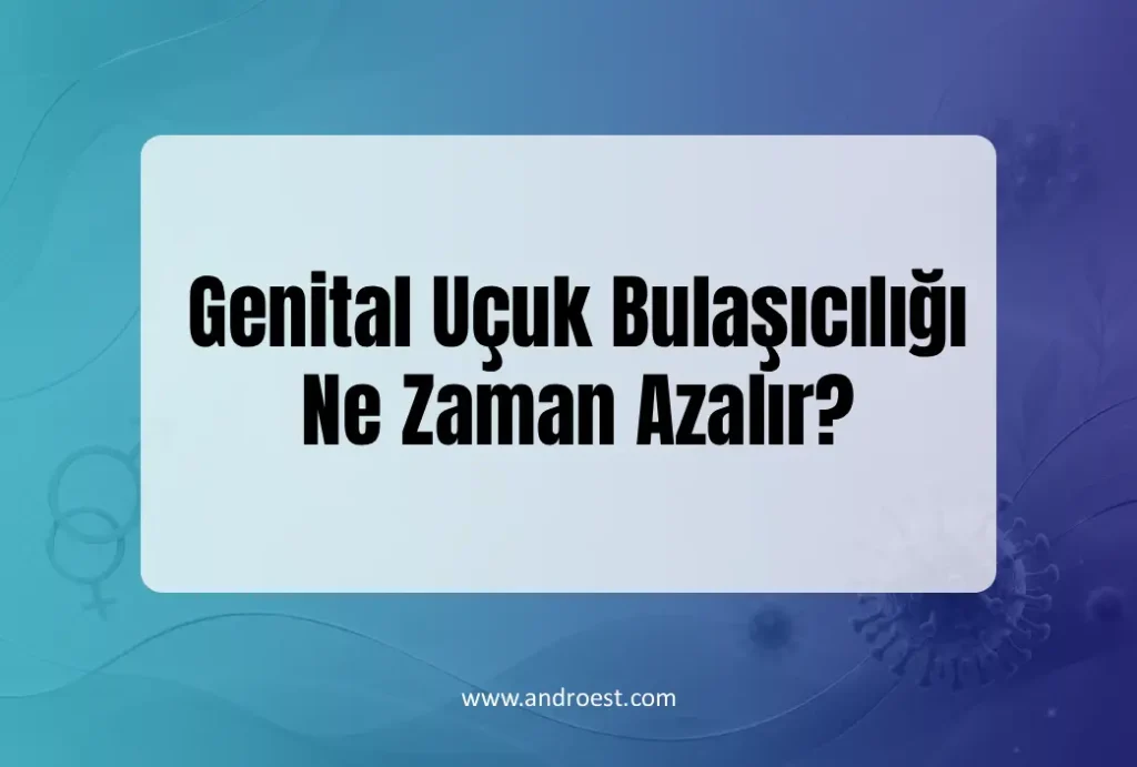 Genital Uçuk Bulaşıcılığı Ne Zaman Azalır?