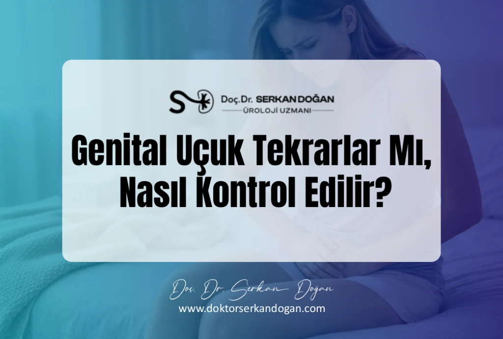 Genital Uçuk Tekrarlar Mı, Nasıl Kontrol Edilir?