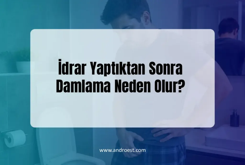 İdrar Yaptıktan Sonra Damlama Neden Olur?
