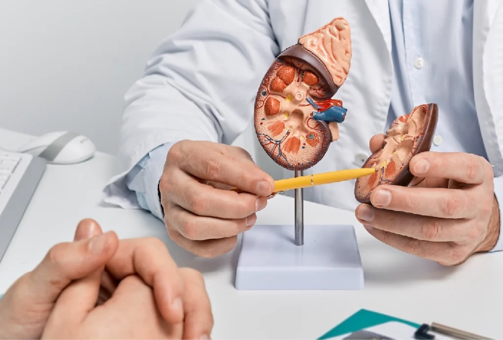 Kapalı Böbrek Taşı Ameliyatı Kaç Gün Sürer?