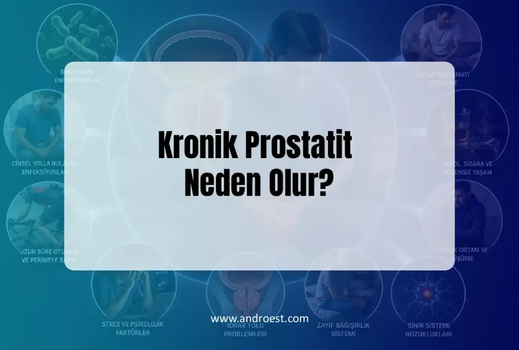 Kronik Prostatit Neden Olur?