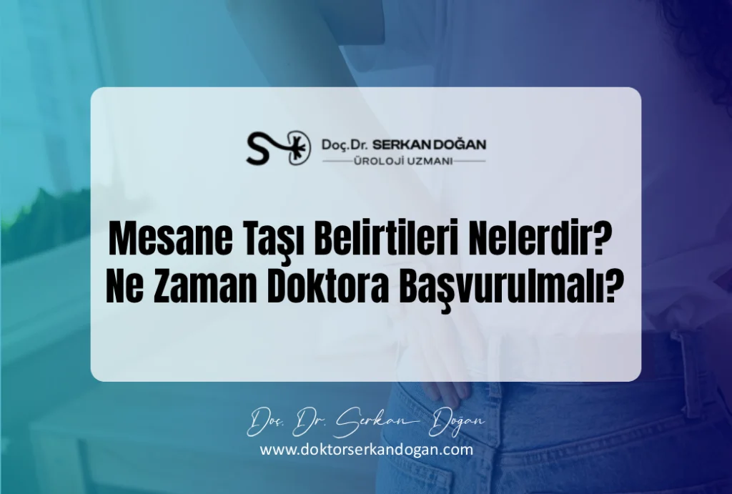 mesane tasi belirtileri