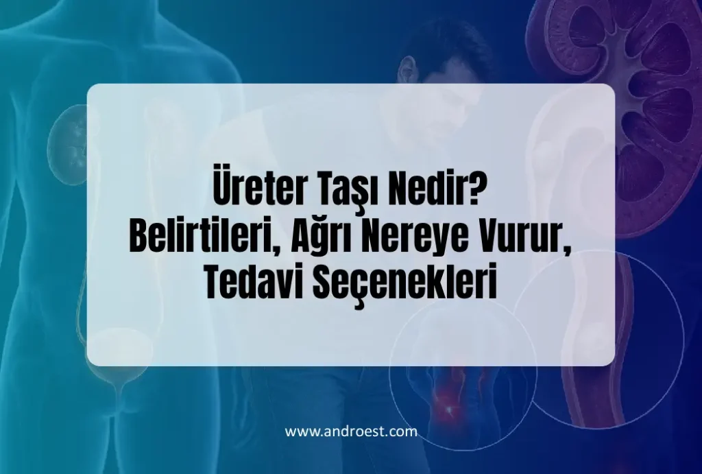 ureter-tasi-nedir-belirtileri-ve-tedavisi