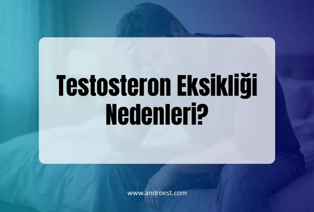 testosteron-eksikligi-nedenleri-1043x704
