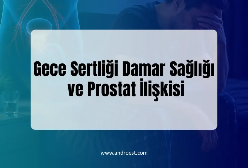 Gece Sertliği Damar Sağlığı
