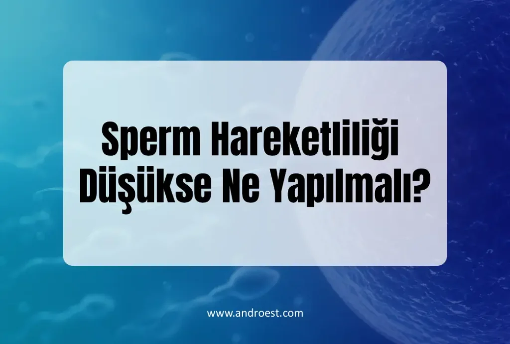 Sperm Hareketliliği Düşükse Ne Yapılmalı?