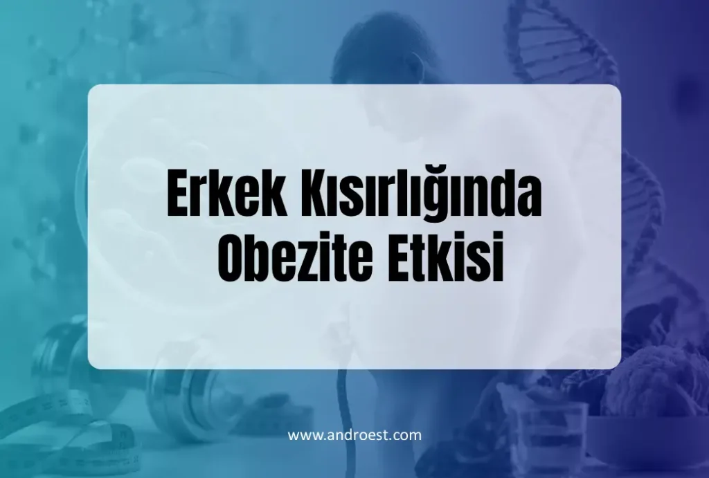 Erkek Kısırlığında Obezite Etkisi
