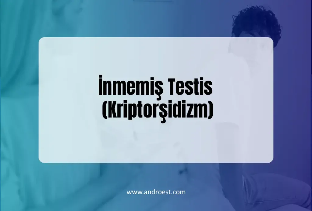 inmemis-testis