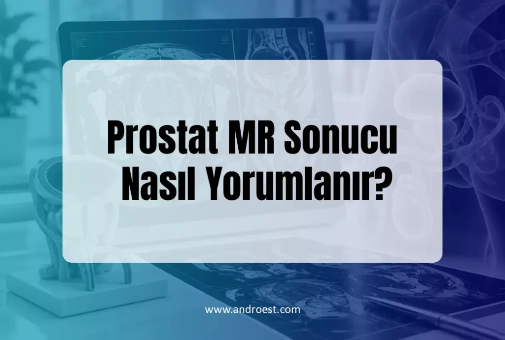 Prostat MR Sonucu Nasıl Yorumlanır?
