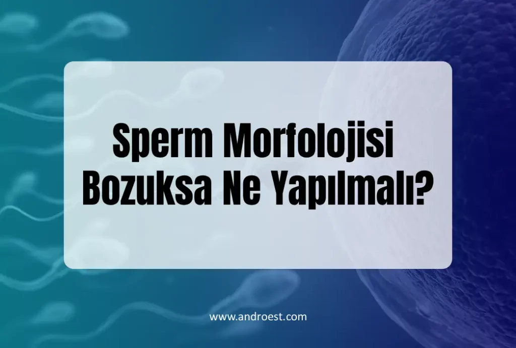 Sperm Morfolojisi Bozuksa Ne Yapılmalı?